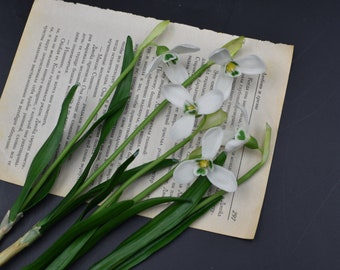 Fiore di bucaneve in porcellana fredda: scultura botanica primaverile Prezzo 1 pezzo