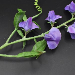 May include: A sprig of purple sweet pea flowers with green leaves and stems against a black background.