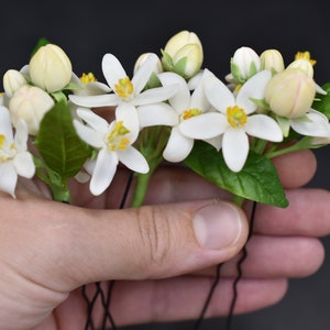 Orange blossom pin Bloming tangerine hair accessories Floral hair pins White wedding hair pins Bridesmaid hairpin Small flower Set hairpins image 5