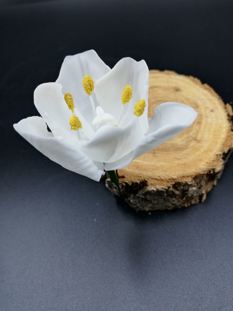 White tulip Hairpin with tulip flowers Hair ornaments Flower hairpin Ornaments for a wedding hairstyle Flowers at the hair Dry flowers tulip