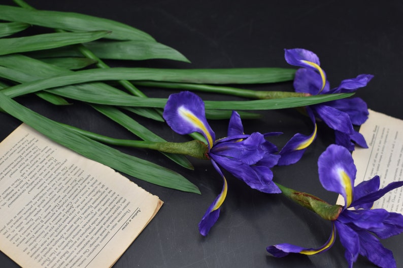 K&ouml;nnte beinhalten: Ein Strau&szlig; aus lila und gelben Irisbl&uuml;ten mit gr&uuml;nen Bl&auml;ttern. Die Blumen sind auf einer dunklen Oberfl&auml;che mit einem Buch angeordnet.