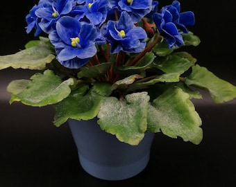 Arreglo floral de porcelana fría en azul violeta: Escultura botánica