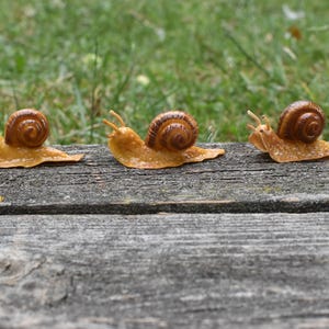 Set of 3 Handmade Brown Snails, Cold Porcelain Miniature Figurines, Terrarium Vivarium Decor