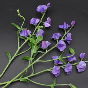 May include: A bouquet of purple sweet pea flowers with green stems and leaves against a black background.