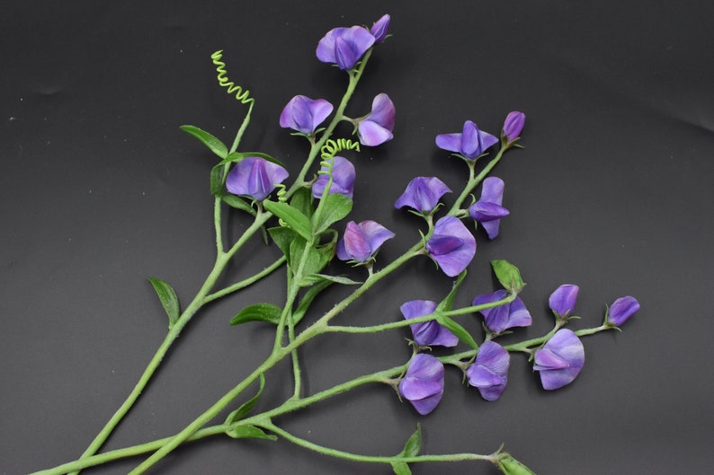 May include: A bouquet of purple sweet pea flowers with green stems and leaves against a black background.