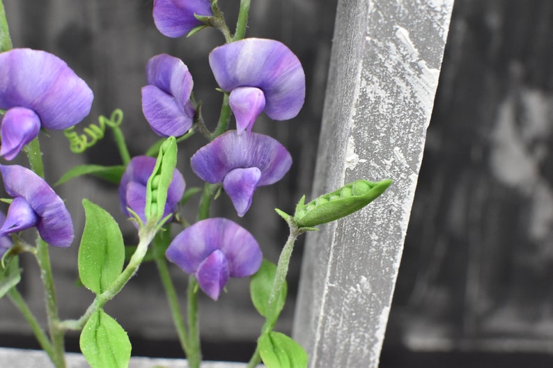 May include: A close-up of a cluster of purple sweet pea flowers with green leaves and pea pods. The flowers are arranged in a bouquet and are in focus, while the background is blurred.