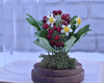Puede incluir: Un pequeño ramo de flores blancas con bayas rojas dispuestas en una maceta de madera con musgo. La maceta está sobre un libro con una campana de cristal detrás.