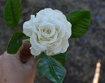 Realistische weiße Porzellan Rose: Handgemachte Blume aus Polymer Clay
