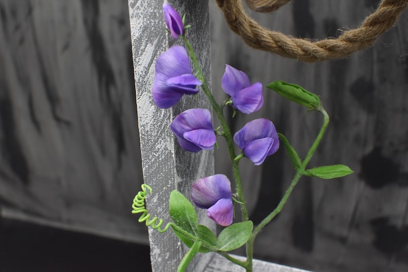 May include: A purple flower with a green stem and leaves. The flower is in bloom and has several petals. The stem is wrapped around a wooden post.