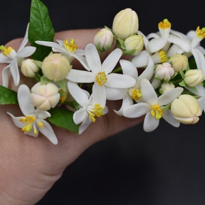 Orange blossom pin Bloming tangerine hair accessories Floral hair pins White wedding hair pins Bridesmaid hairpin Small flower Set hairpins image 6