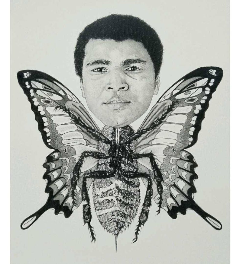 Muhammad Ali Wall Art Float Like A Butterfly Sting Like A Bee Art Print Boxing Pun Pencil Art Collectibles Sharestan Com Muhammad Ali Wall Art Float Like A Butterfly Sting Like A Bee Art Print Boxing Pun Pencil Art Collectibles Sharestan Com