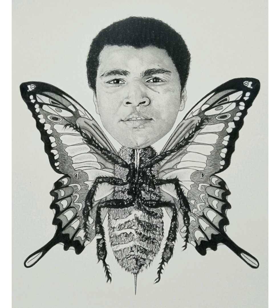 Muhammad Ali Wall Art Float Like A Butterfly Sting Like A Bee Etsy