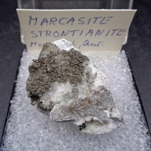 Könnte beinhalten: Eine Mineralprobe aus Markasit und Strontianit. Die Probe ist eine Mischung aus grauen, weißen und braunen Farben. Das Mineral befindet sich in einer transparenten Kunststoffbox mit einem handgeschriebenen Etikett mit der Aufschrift "Marcasite Strontianite".