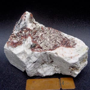 Può includere: Un campione di roccia bianco, grigio e rosso con una superficie ruvida e testurizzata. La roccia è lunga circa 6 cm.