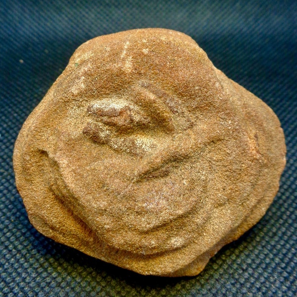 Barite Rose from Noble, Oklahoma, USA