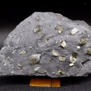 Pyrite crystals in graphitic slate from Waterville Quarry, Compton, Quebec, Canada