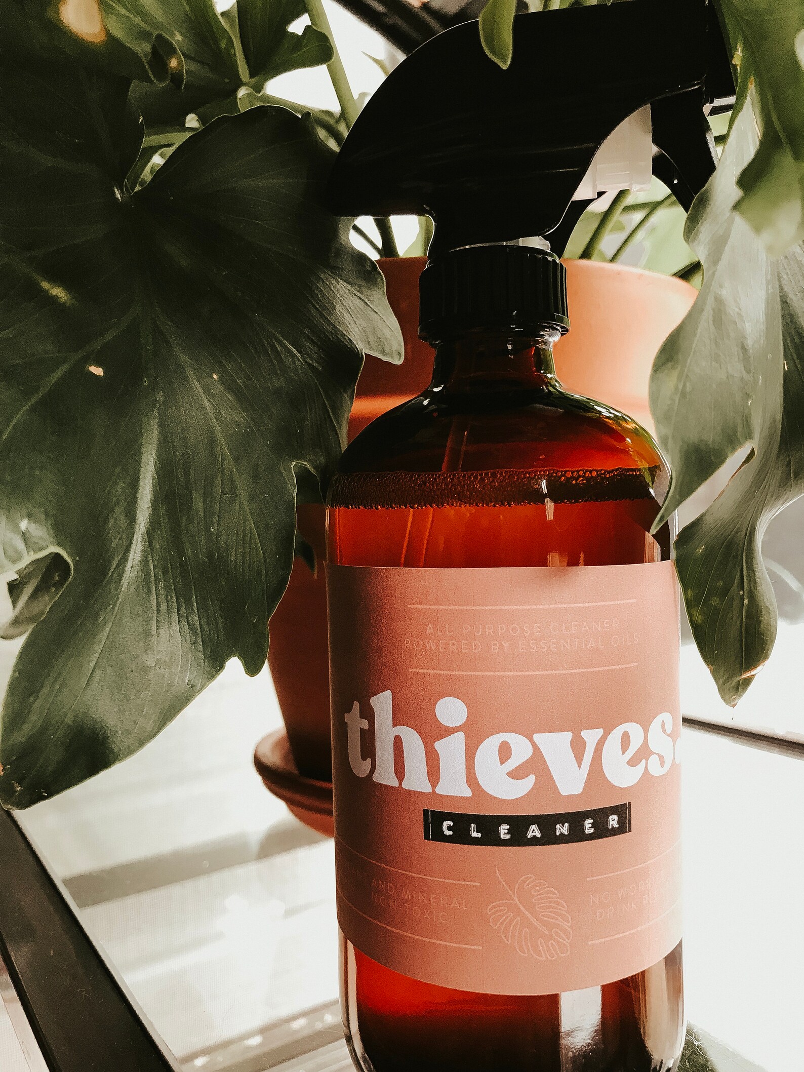 Thieves Cleaner Printable Label Oil Resources YLEO Doterra - Etsy