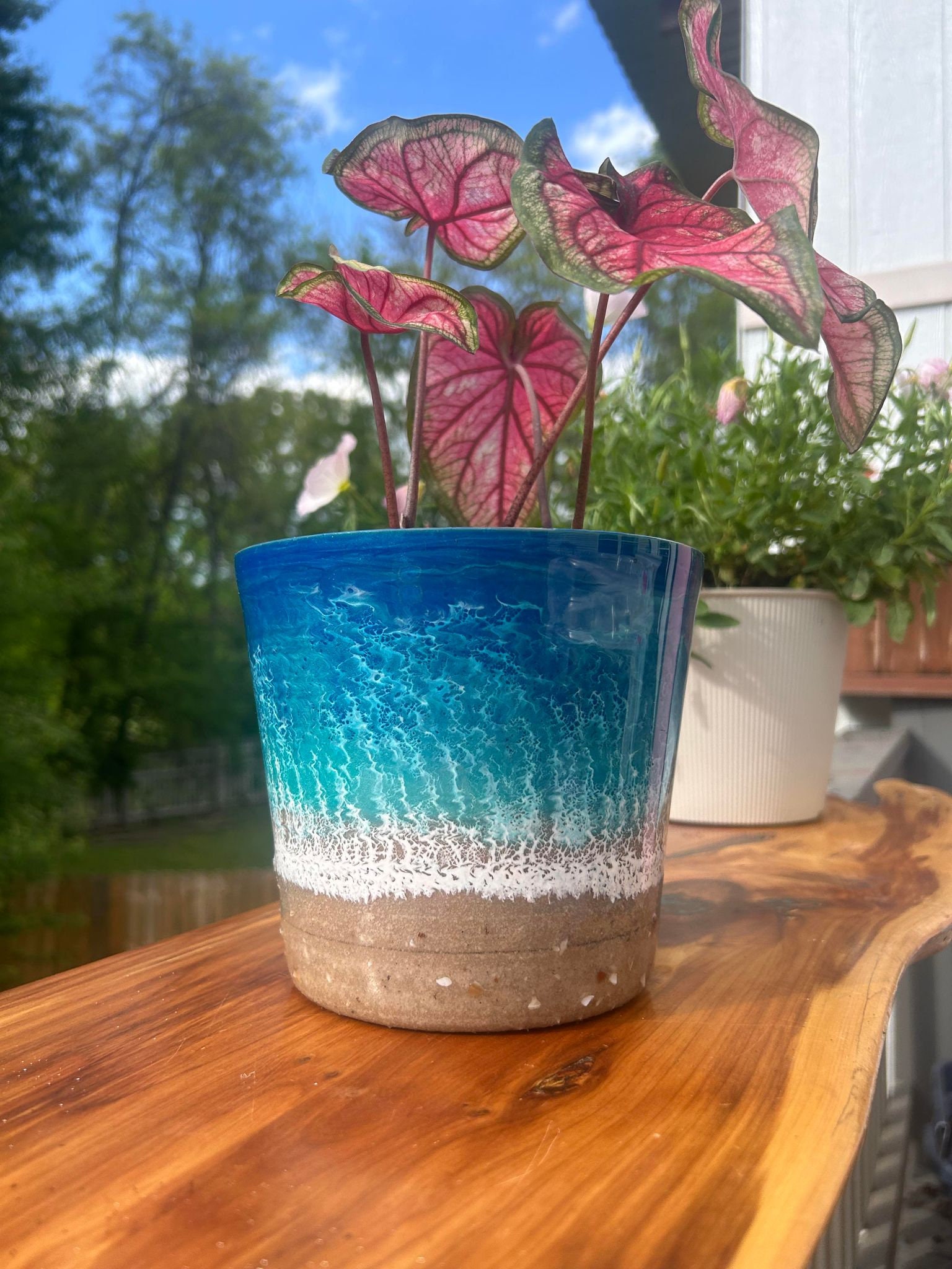 JK Home, Vaso per Piante grasse, Cactus, Vaso