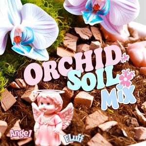 Orchid Potting Mix : 1 Gallon