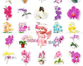 Phalaenopsis Orchid Stickers ~ 50 pcs