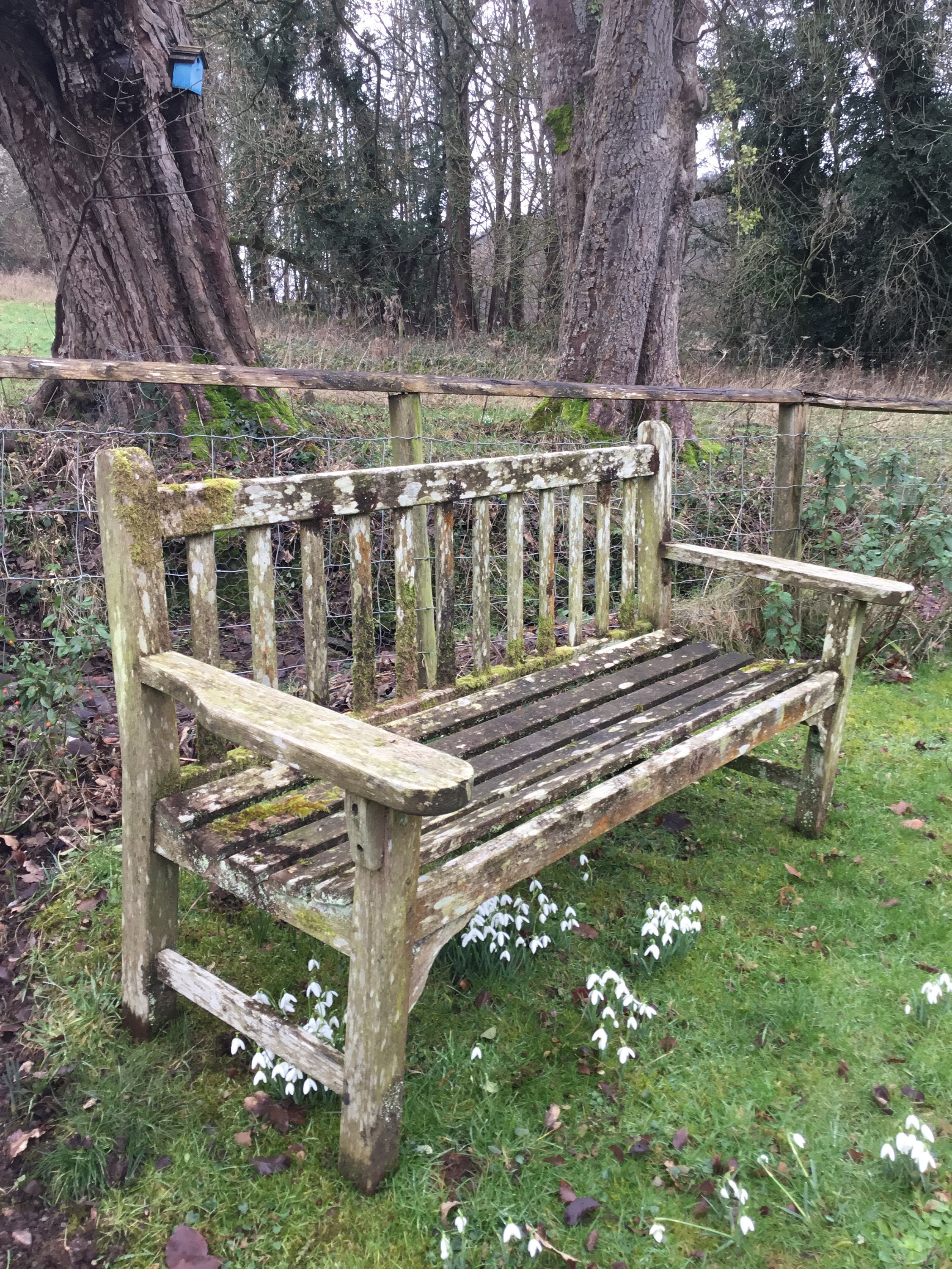 Lister garden bench sales