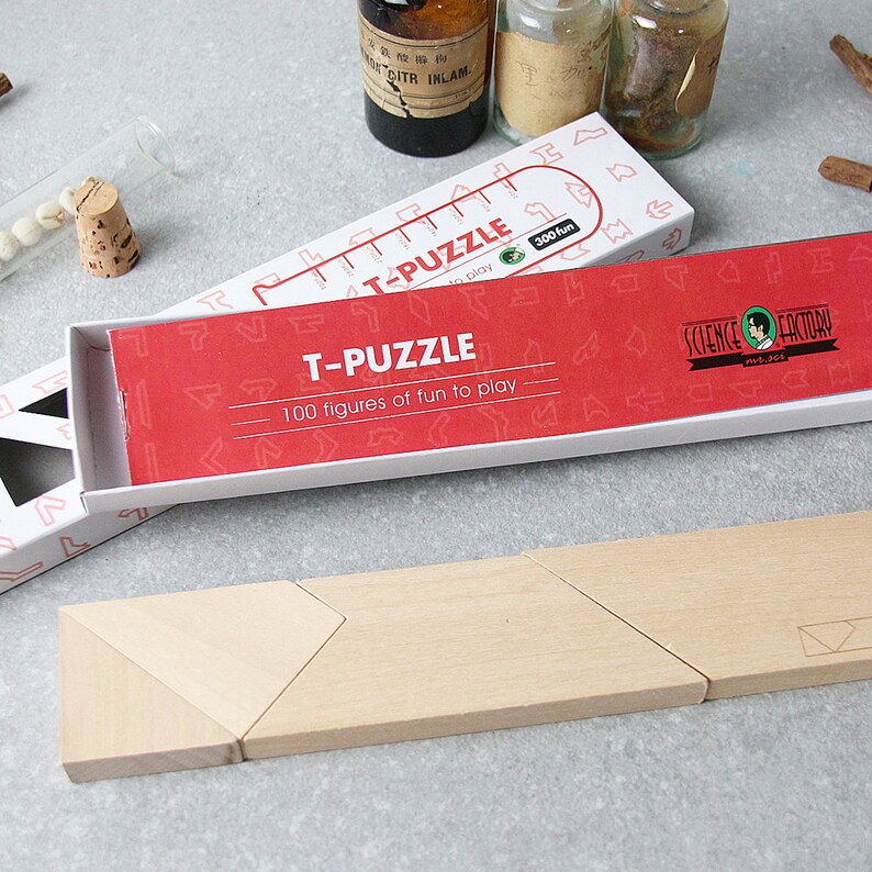T-Puzzle 100 Figures to Challenge Educational Games | Etsy
