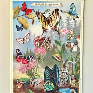 Arte de estilo vintage: Póster decorativo de papel de Cavallini and Co. de Le Monde des Papillons con bastidor de madera artesanal.