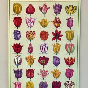 Póster decorativo de estilo vintage de Cavallini & Co. con jardín de tulipanes y bastidor de madera artesanal.