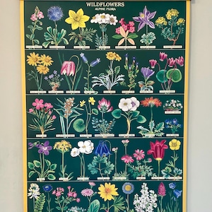 Póster decorativo de estilo vintage de flores silvestres (flora alpina) de Cavallini & Co. con bastidor de madera artesanal.
