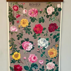 Póster decorativo de rosas de estilo vintage de Cavallini & Co. con bastidor de madera artesanal.