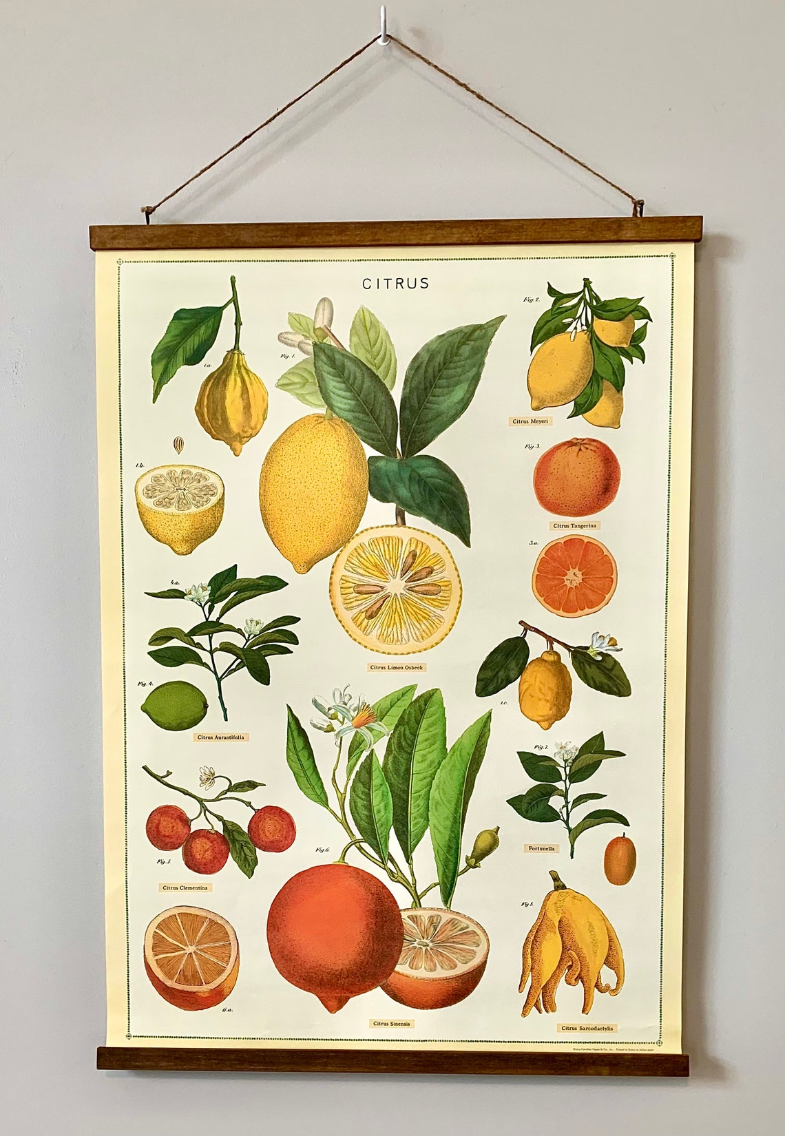 Vintage Style Decorative Paper Poster with Handcrafted Wood Etsy