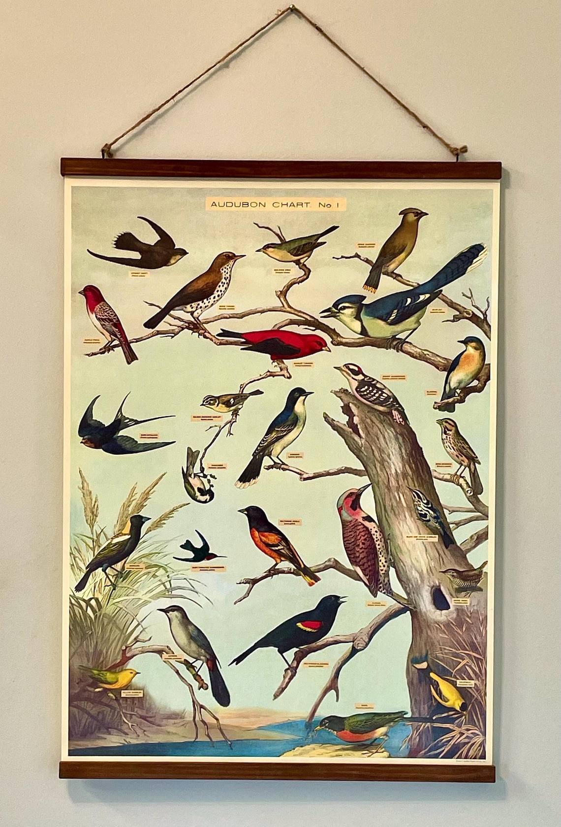 Audubon Bird Chart Poster Vintage Style Decorative Paper With Wood