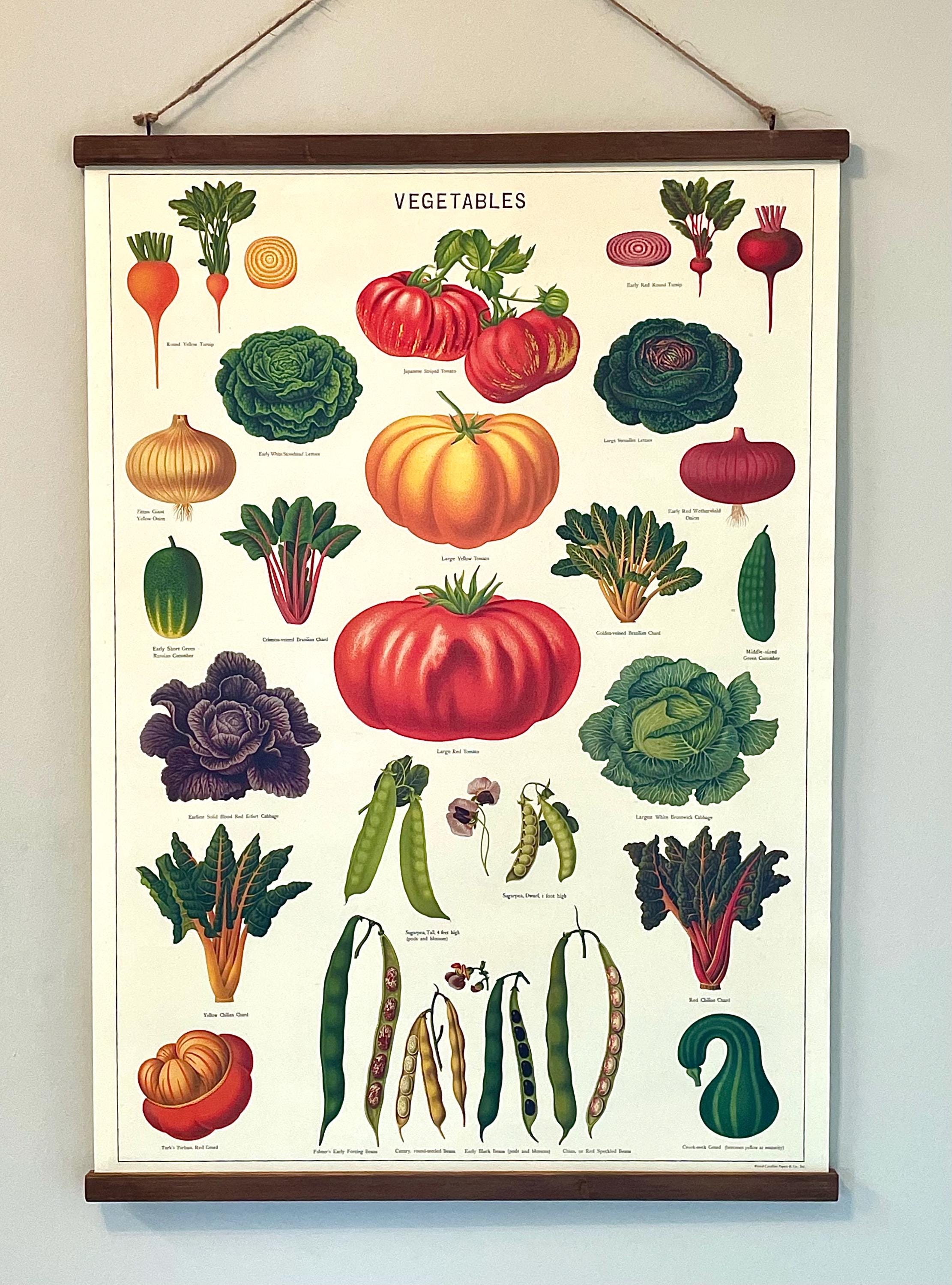 Vintage Style Art Cavallini & Co Decorative Paper Poster of Vegetables with Handcrafted Wood Stretcher Bars