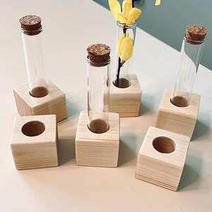 Support artisanal pour tubes à essai en pin : station de propagation