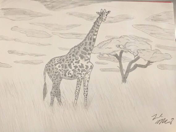 Niestandardowe Zwierzątpet Ręcznie Rysowane Ołówkiem Rysunek Za Pomocą Zdjęcie Lub Odwołanie Lub Wniosek Na Tanie Ceny