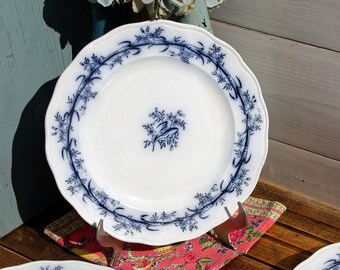 Late 1890s ~ Collectible English Antique IRONSTONE  ~ B.W.M & Co Brown - Westhead, Moore and Co ~ LOBELIO Pattern~ Fine China