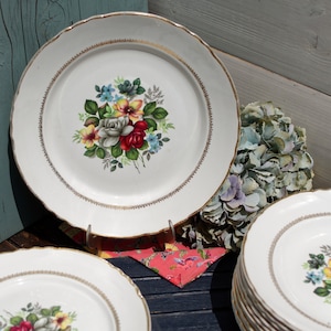 1960s ~ French Vintage Porcelain Floral Plate ~ Moulins des Loups NORD in ORCHIES ~ Floral Ceramic Tableware