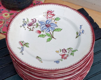 May include: A stack of white ceramic plates with a red rim and floral designs in shades of pink, blue, and green.