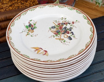 May include: A stack of ten white ceramic plates with a brown rim and a green and brown floral design. The plates feature a floral design with a bird and a basket.