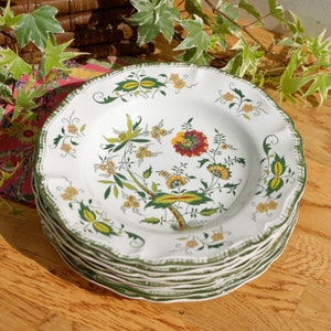 1960s ~ &quot;CLARENCE&quot; SARREGUEMINES France Decor Garanti inalterable ~ French Vintage Hand-Painted Ironstone Polychrome Soup Plate ~ Terre de f