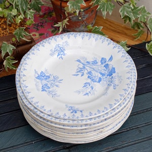 1880s/1900s ~ &quot;FLORE&quot; Sarreguemines U&C ~ French Antique Ironstone Light Blue Transferware Plate ~ Terre de Fer