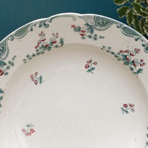 1890s ~ "VINCENNES" LONGWY ~ French Antique Floral Ironstone Polychrome Plate ~ Terre de Fer