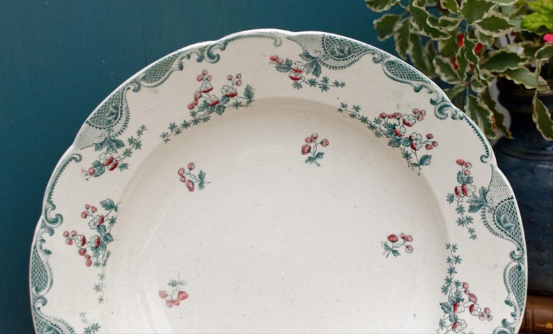1890s ~ "VINCENNES" LONGWY ~ French Antique Floral Ironstone Polychrome Plate ~ Terre de Fer