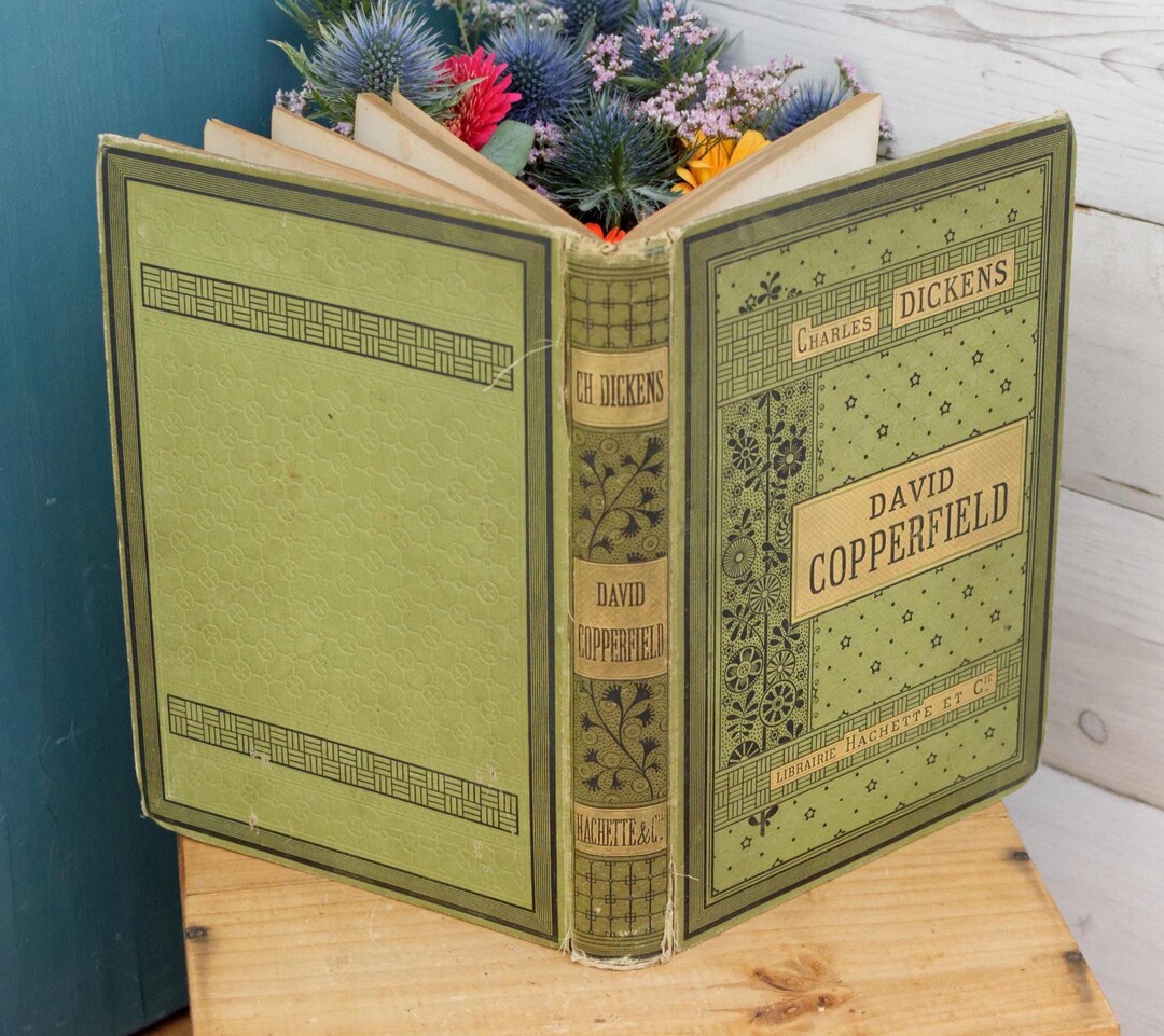 1885 ~ DAVID COPPERFIELD by Charles Dickens HACHETTE Et Cie ~ French ...