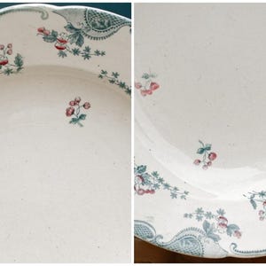 1890s ~ "VINCENNES" LONGWY ~ French Antique Floral Ironstone Polychrome Plate ~ Terre de Fer