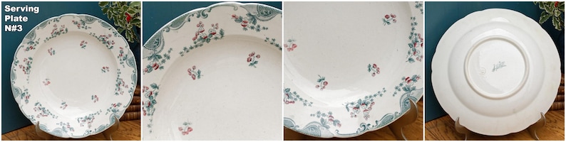 1890s ~ "VINCENNES" LONGWY ~ French Antique Floral Ironstone Polychrome Plate ~ Terre de Fer