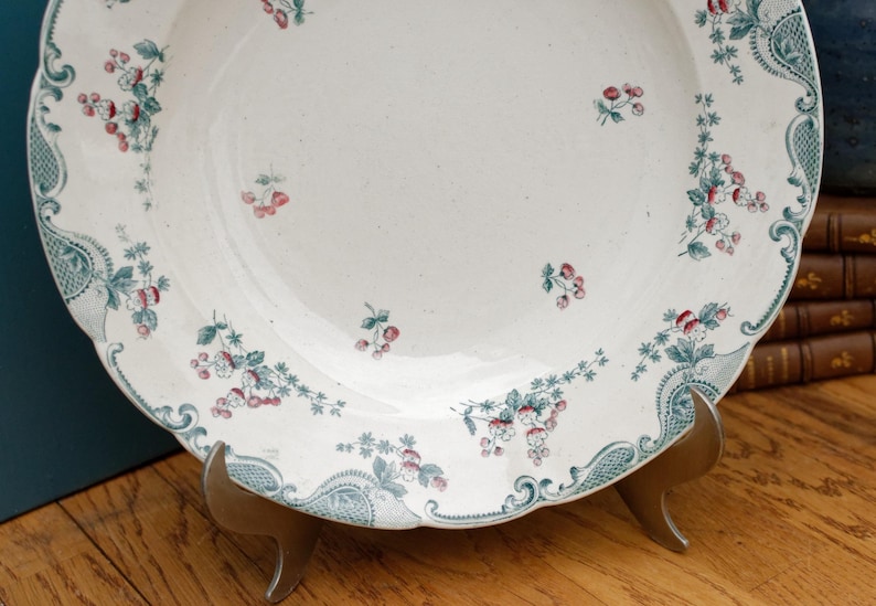 1890s ~ "VINCENNES" LONGWY ~ French Antique Floral Ironstone Polychrome Plate ~ Terre de Fer