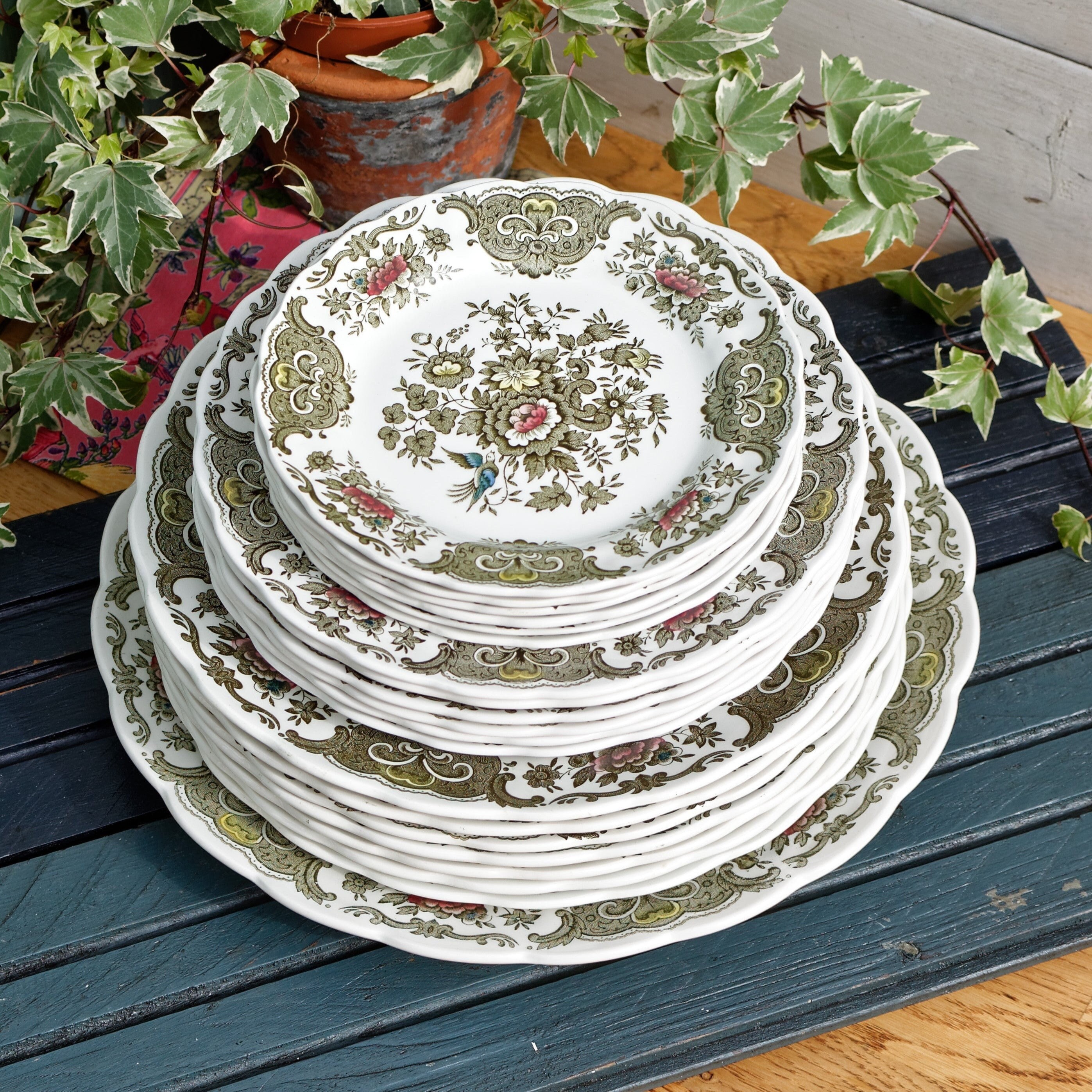5 assiettes plates Ridgway Staffordshire Windsor, fleur