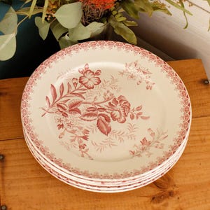 May include: A stack of four white ceramic plates with a floral design in red. The plates have a decorative red border and a detailed pattern of flowers and leaves. The plates are stacked on a wooden surface.