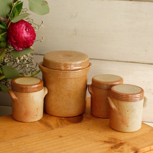 May include: A collection of four ceramic jars in varying sizes. The jars are a speckled tan color with brown lids and handles. A large red flower and greenery are in the background, adding a touch of color to the rustic aesthetic.